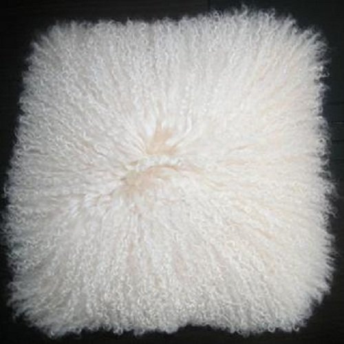 large mongolian cushions