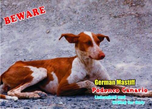 AtenciónSeñal Cuidado condiversión perro podenco canario perro para su hogar o casa sf1918