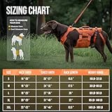 OneTigris Dog Lift Harness for Large Dogs, Dog Hip Support Brace, Full Body Dogs Lifter with Handles Invictus Multifunctional Mobility Assistance Vest for Back Legs - Image 6