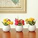Set of 3 Mini White Ceramic Wall Mountable Plant Vase, 4 Inch Hanging Succulent Pots