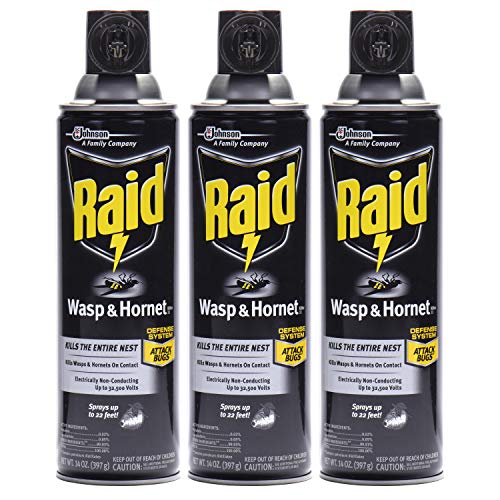 Top 10 Best Yellow Jacket Killer Spray Reviews & Buying Guide Katynel