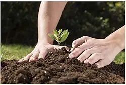 2 Terra Vegetal Adubada MInhoco Premium para Horta e Jardim, Substrato Rico em Nutrientes, 10kg, Pronto para Uso em Vasos e Canteiros