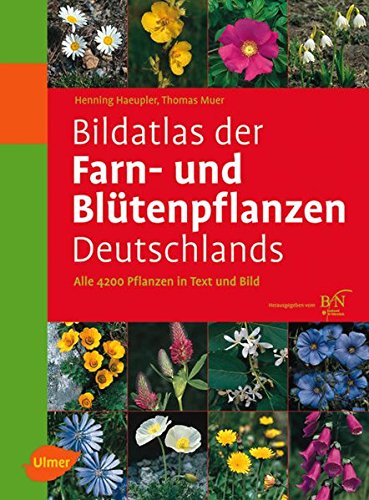 Bildatlas der Farn- und Blütenpflanzen Deutschlands: Alle 4200 Pflanzen in Text und Bild Bildatlas der Farn- und Blütenpflanzen Deutschlands: Alle 4200 Pflanzen in Text und Bild