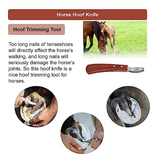 Image of KUIDAMOS Hoof Trimmer, Loop Hoof Knife Farrier Tool Oval Hoof Shears with Wood Handle Farrier Loop Knife for Horses Donkeys Cows