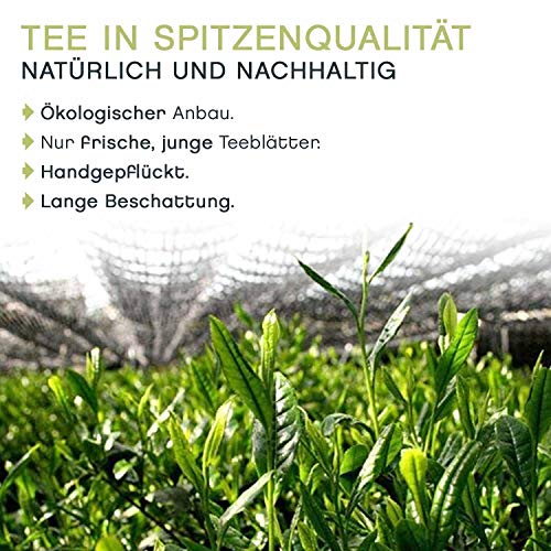 BIO Matcha Tee Pulver | Premium-Qualität - 100g | Original Grüntee Pulver aus Japan | fein gemahlen, rein natürlich ohne Zusätze | cosmopoliTEA®