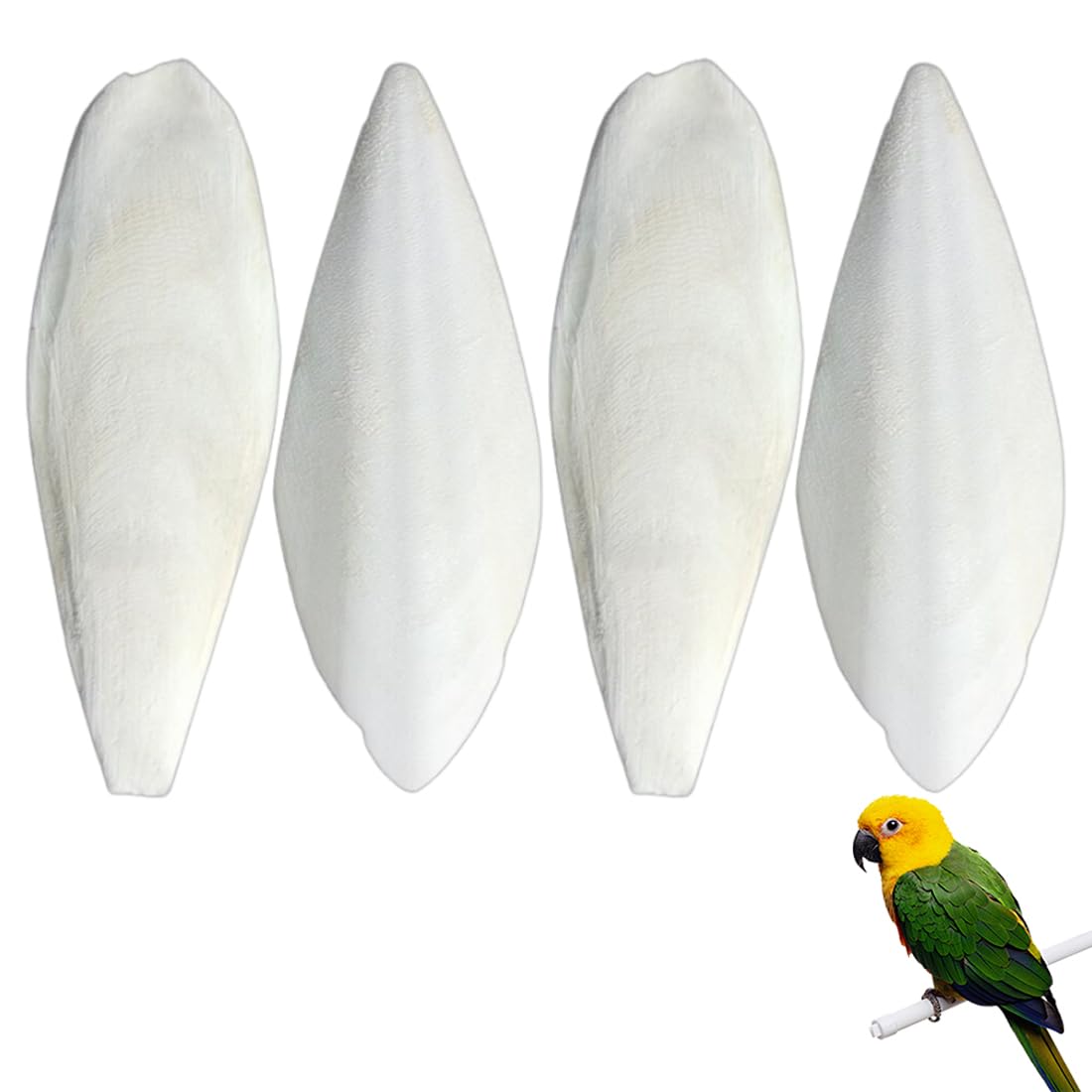 3 Osso Di Seppia Naturali Per Uccelli - Con Supporti Metallici, Per Becco E Gioco