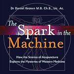 Cover of The Spark in the Machine
