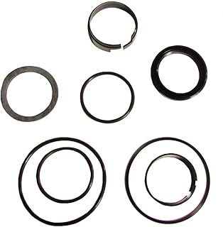 RAParts D42872 Fits Case Backhoe Loader Boom Bucket Cylinder Rod Seal Kit 310G 430 480 530