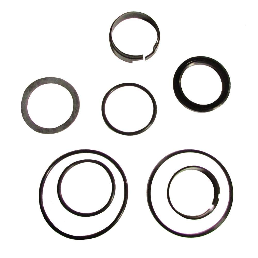 D42872 Fits Case Backhoe Loader Boom Bucket Cylinder Rod Seal Kit 310G 430 480 530