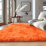 VAIPI Orange Area Rug for...