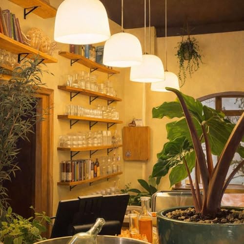 Isabelle, la mal&eacute;diction du c&eacute;libat