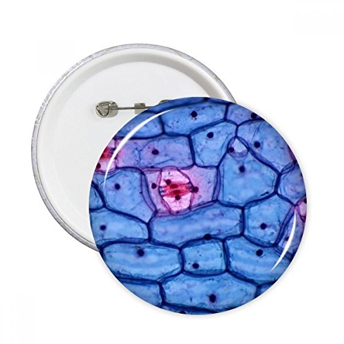 Badge rond plant science bioplast pour égayer un vêtement terne sans abîmer le tissu