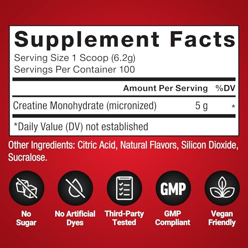 Image of Force Factor Creatine Monohydrate Powder, 5g Micronized Dose to Support Muscle Growth, Strength, Recovery, Cognitive Health & Working Memory, Blue Raspberry, 100 Servings