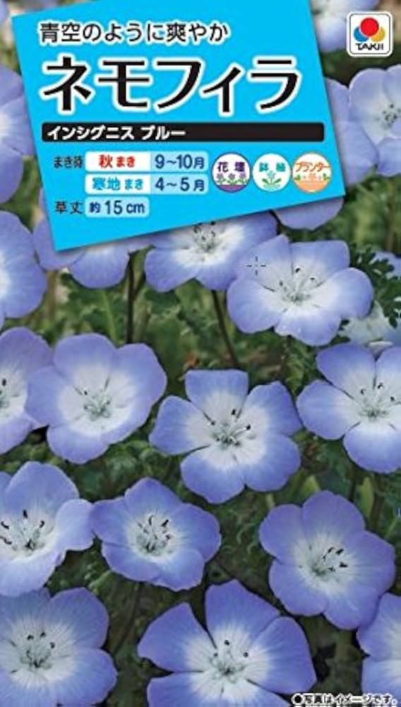 ねもふぃら購入ページ 739-FZZ780.jpg?1