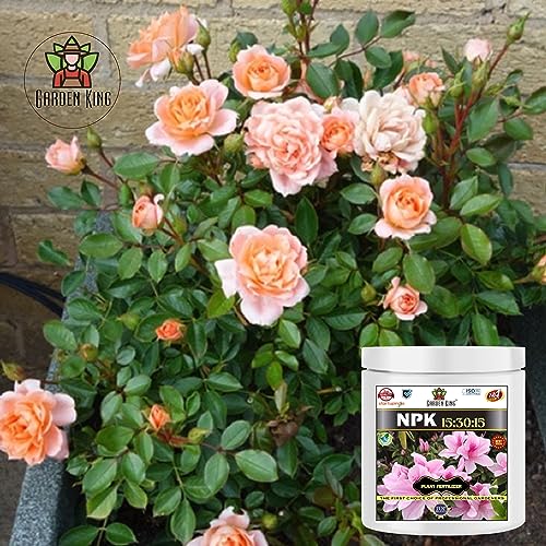 Sansar Agro® Organic NPK 15:30:15 Fertilizer for Plants (400 gm)