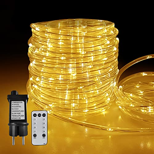 FANSIR 20m LED Lichtschlauc - 200 LED mit Fernbedienung Lichterkette, 8 Modi IP44 Wasserdicht Lichtschlauch, Weihnachten Deko Lichterketten für Innen Außen Garten Fest Party Hochzeit (Warmweiß) Cover