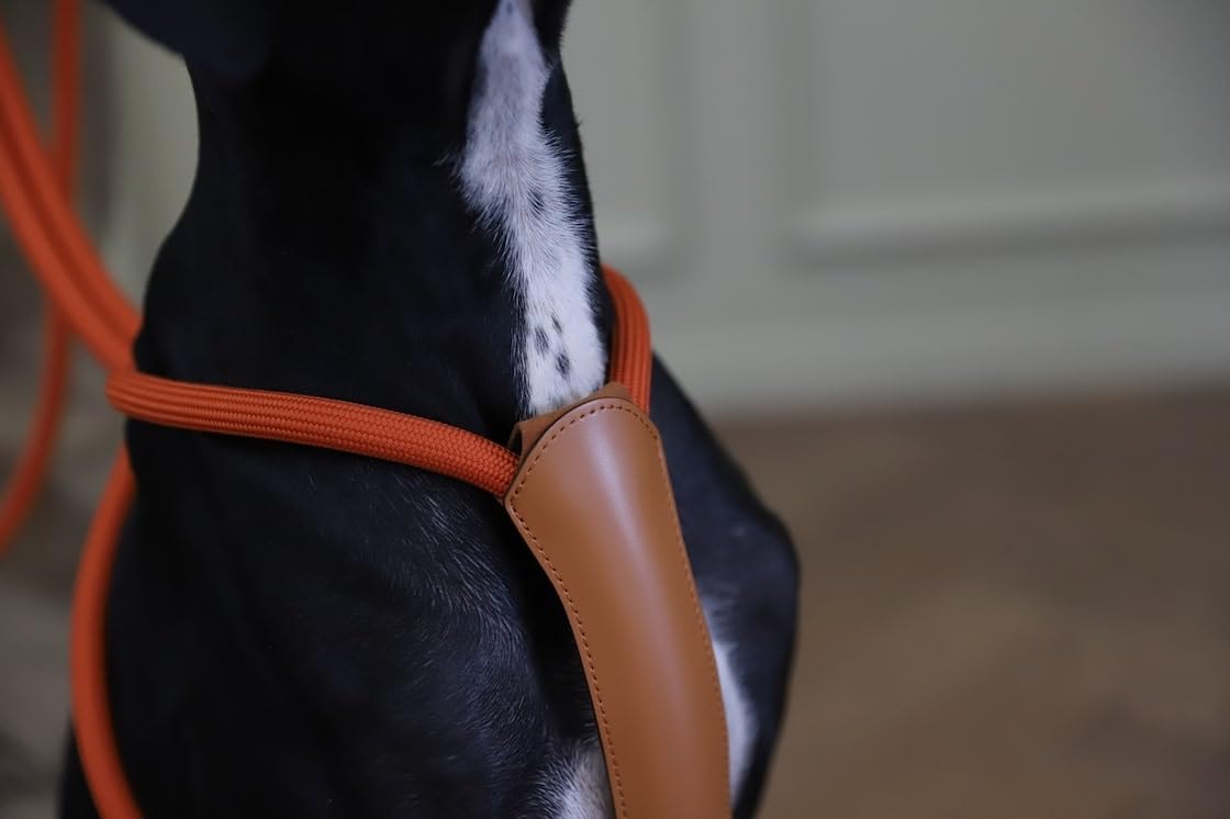 韓国ブランド HOZI ネイビー ハーネスとリードセット 韓国ブランド