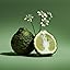 Zen State - Bergamot & Green Tea