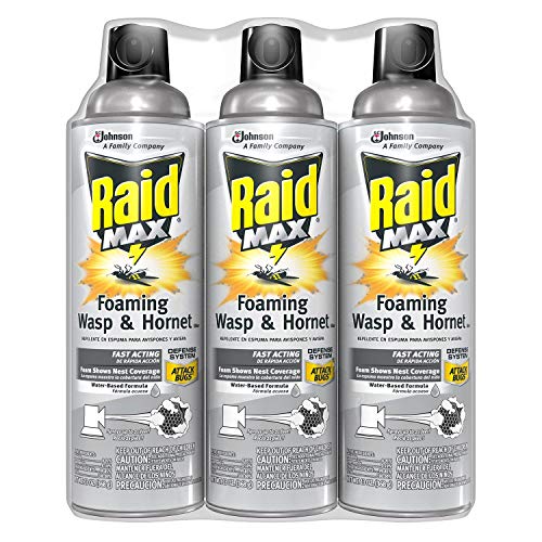 Raid Max Foaming Wasp & Hornet Killer 3 x 13 oz