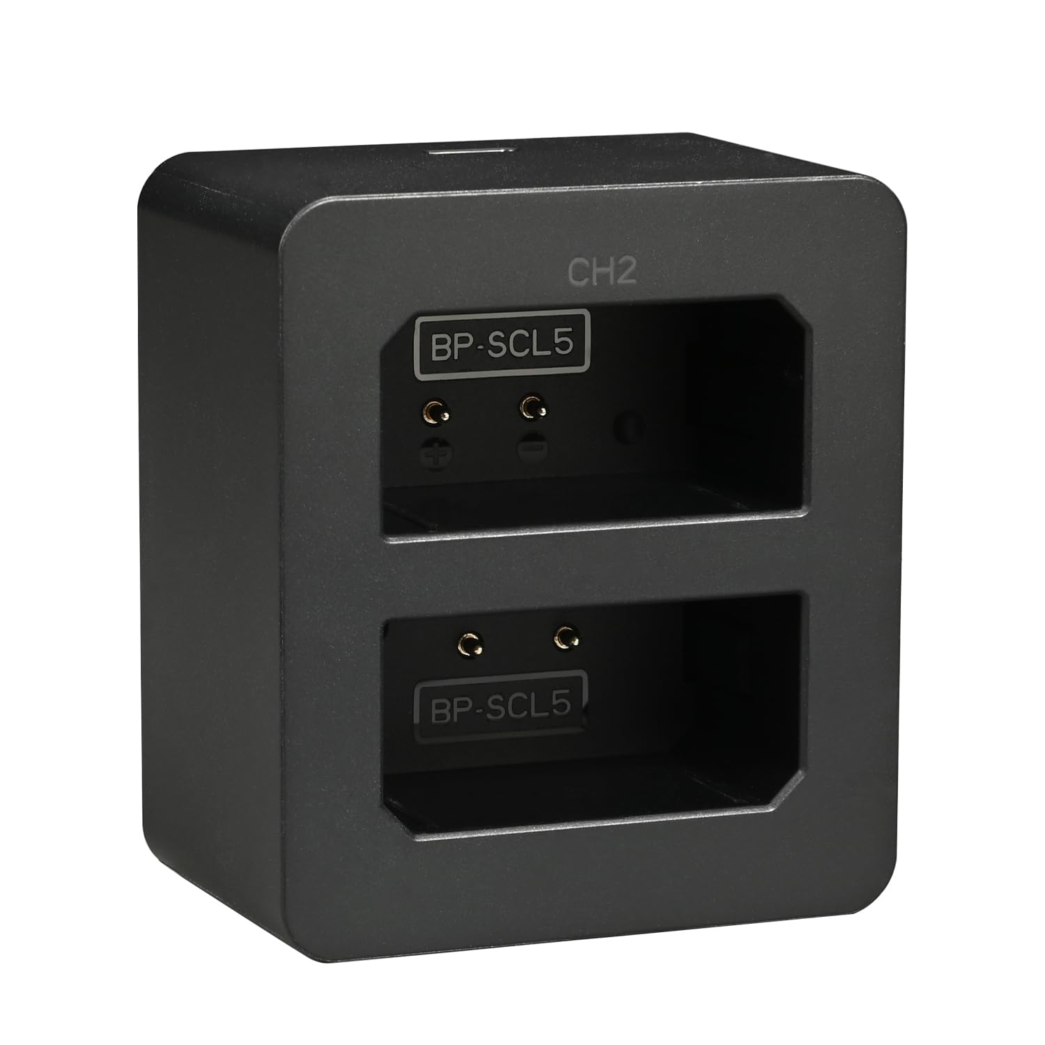 Amazon.com: DSTE Dual USB Battery Charger Compatible with Leica BP