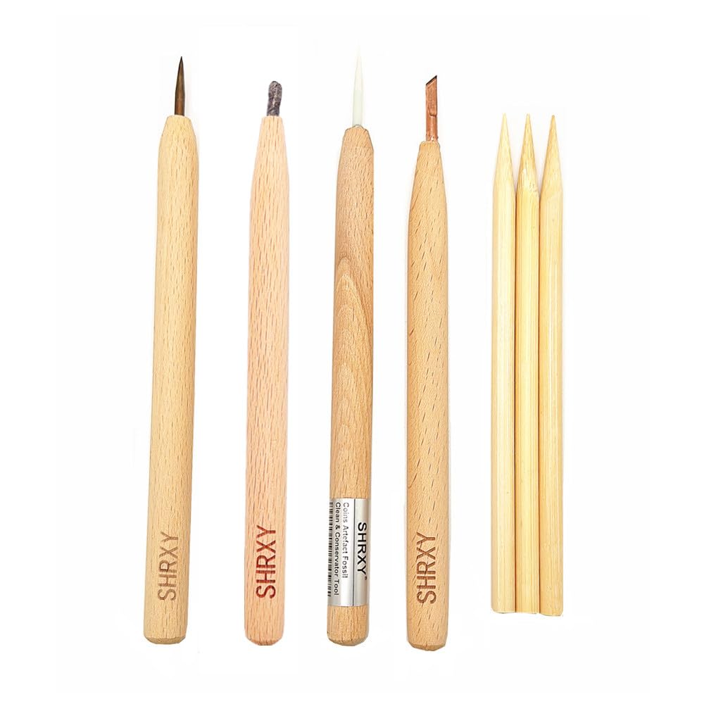 shrxy Coins Cleaning Pencils Conservator Tool Complete Set