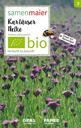 Preisvergleich Produktbild Samen Maier 3005 Karthäuser Nelke (Bio-Nelkensamen)