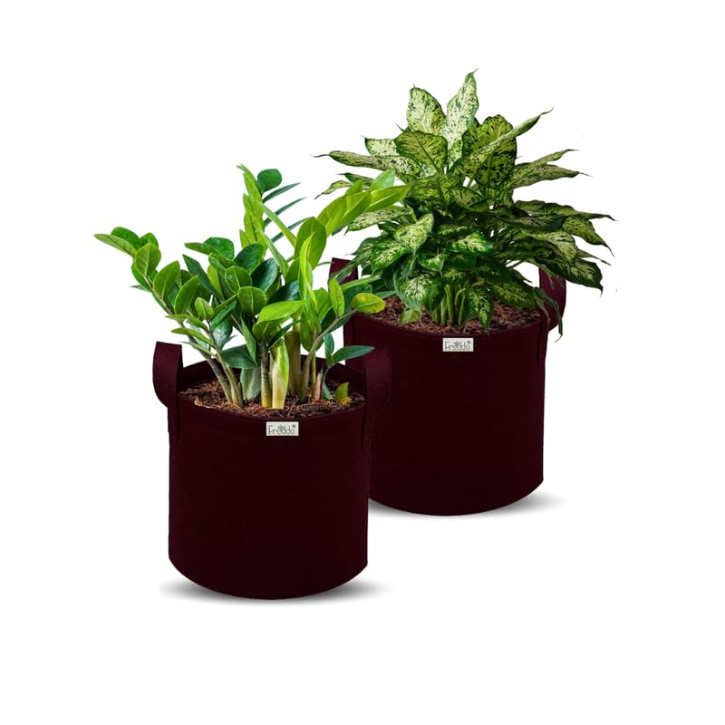 FREDDO-Grow Bags Pots with Handles Heavy Duty 400 GSM Non Woven Fabric for Vegetable/Flower/Plant & Gardening- Maroon Color- 12 X 12 Inch-Pack of 2 Pieces (B0CNW6V74P) Amazon Price History, Amazon Price Tracker