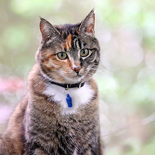 Haustier-ID-Tags für Katzen, kleine Hunde,Welpen,Kapselform, leise, geräuschlos, wasserdicht, für Hundeausweis, keine öffentlichen Informationen, Adress-Namensschild