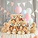 MaoGoLan Bulk Teddy Bear Baby Shower, 10 Packs Small Teddy Bear Stuffed Animals in Bulk,13.5