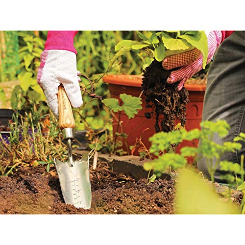 Kent & Stowe Roestvrij staal Hand Transplantatie Troffel FSC-100% - Afbeelding 4