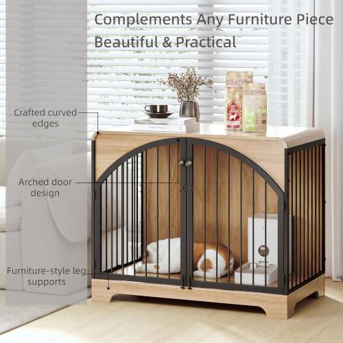 View 4