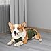 ＡＷＨＡＯ Dog Belly Cover Dogs Belly Band Breathable Washable Pet Clothes Dog Belly Wrap for Small Medium Large Dogs Indoor Outdoor Cats Small Animals, Dark Green L