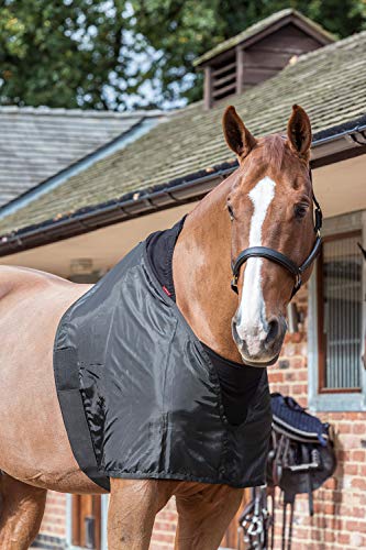 LeMieux Anti Rub Bib in Black with Elastic Belly Straps - Horse Wither Protection - Perfect Fit Chest Guard - XL