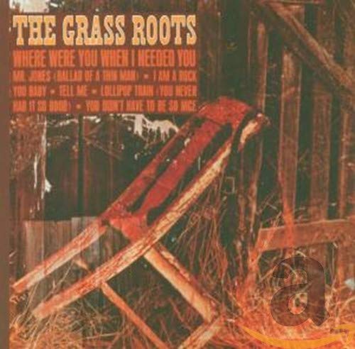 Grass Roots Where Were You When I Needed You Amazon Com Music