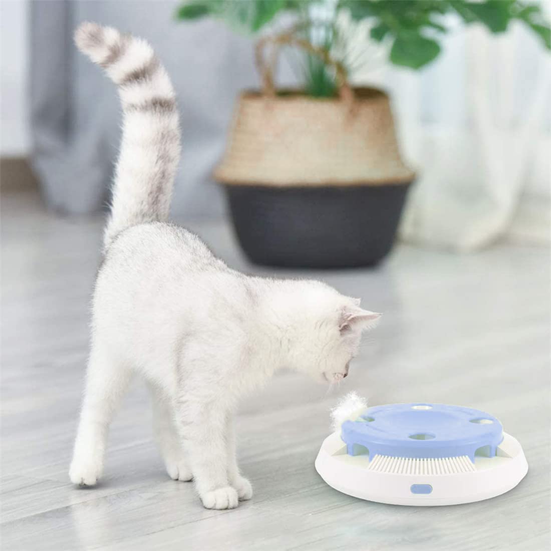 Giocattolo elettronico interattivo per gatti, con piuma rotante automatica, giocattolo per gatti e gatti