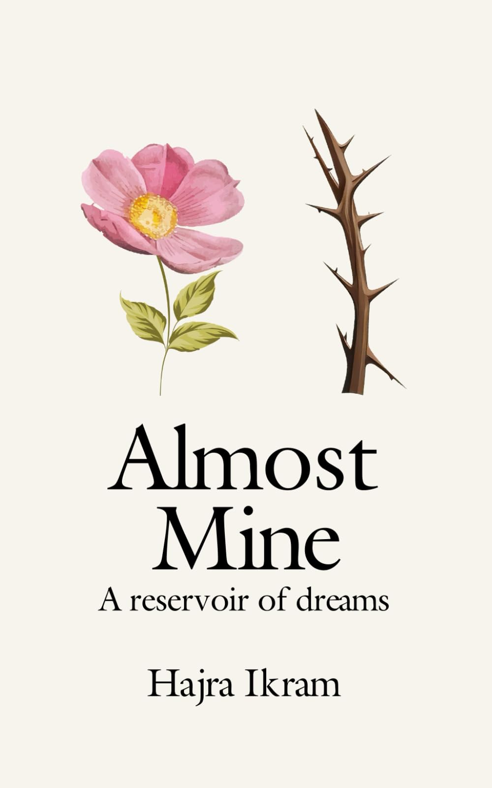 Almost Mine: A reservoir of dreams