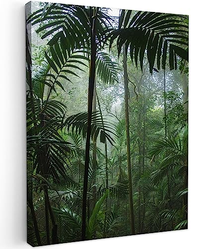 Toile Jungle Tropicale 50x70 cm pour l'Ambiance de Votre Chambre