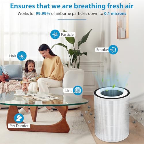 Image of True HEPA Kilo Filter Replacement Compatible with Afloia Kilo, KILOPLUS, KILOPRO, MIRO, MIRO PRO and MORENTO MR-Kilo, Kalo, 2 Pack