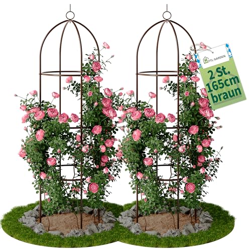 TTL Garden Obelisk Rankhilfe L 165x40cm braun 2er Set - Rosen Rankgitter Metall rostfrei für Kletterpflanzen Rosen Clematis - pulverbeschichteter Stahl 165 cm hoch 40cm Ø Rankturm Tomaten Gurken