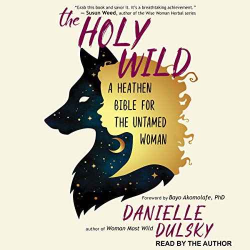 The Holy Wild by Danielle Dulsky, Bayo Akomolafe PhD - foreword episode artwork