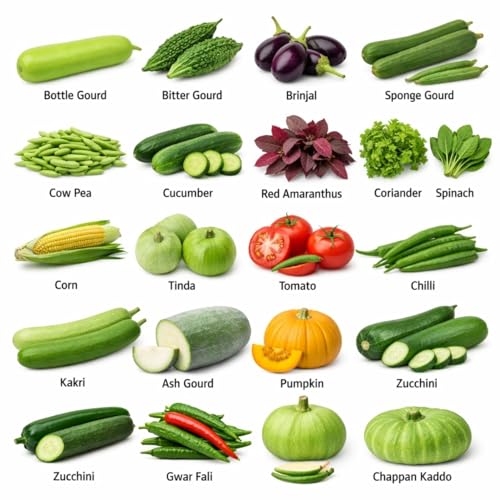 Image of 20 Variety Summer Vegetable Seeds Combo, Easy to Grow, Home Gardening Seeds Combo