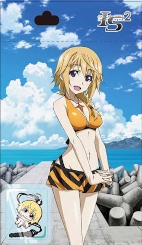 Amazon.co.jp: IS[インフィニット・ストラトス]2 おみや便り