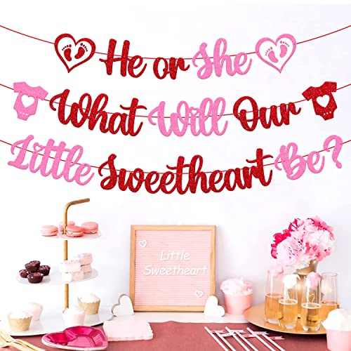 Image of FestikoHe or She What Will Our Little Sweetheart Be Banner Happy Valentine's Day Theme Glitter Pink Red Glitter Party Decorations Supplies