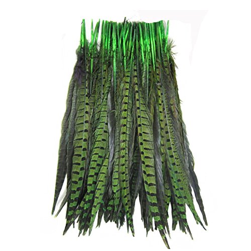 KOLIGHT Set of 50pcs Natural Dyed Pheasant Tails Feathers 14-16 Inch DIY Decoration (Green)