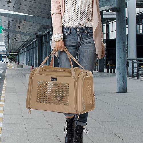 Petsfit Transportbox Katze Hund faltbar Transporttasche Hundetasche für Katzen Hunde, Hochwertige Tragetasche Hund Katze mit Schultergurt und weiches expandierbare Kissen,groß
