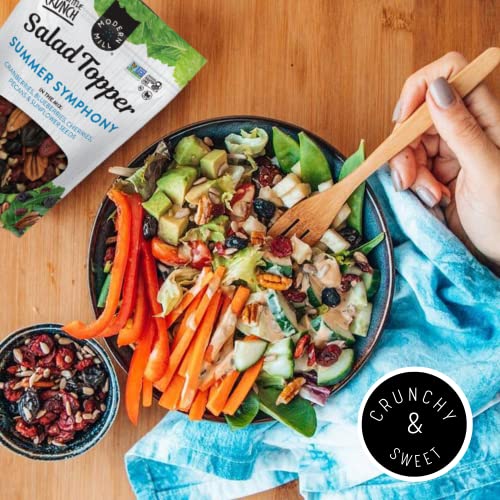 Image of Modern Mill Summer Symphony Mixed Salad Topper By Gourmet Nut - Dried Cranberries,Blueberries,Pecans,Cherries & Sunflower Seeds - Gluten Free,Kosher,Dried Fruit & Nuts Snack -6oz Resealable Bag (3 Pk)
