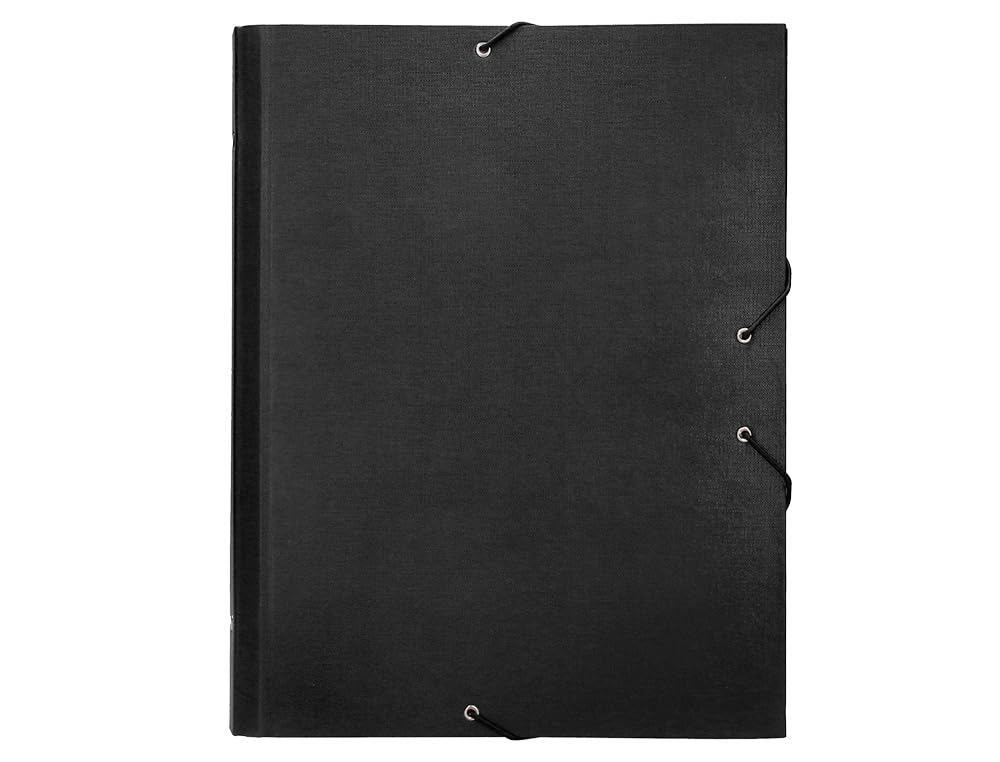 Liderpapel CS02 - Expanding File 12 Pockets
