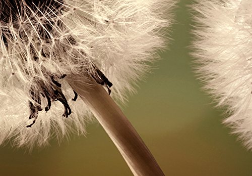 Murando Quadro 120x60 cm 3 pezzi Stampa su tela in...