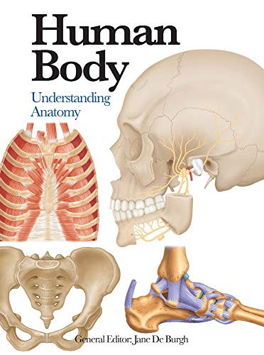 Human Body: Understanding Anatomy (Mini Encyclopedia)