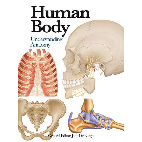 Human Body: Understanding Anatomy (Mini Expert Guides)